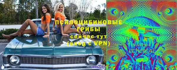 дживик Аркадак